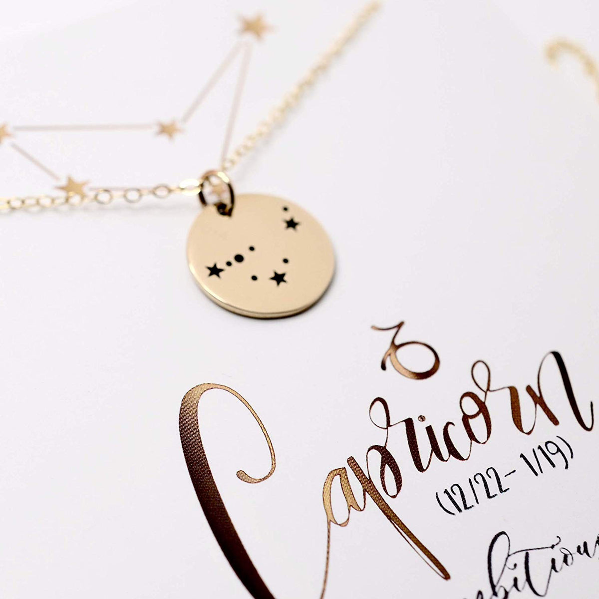 Capricorn Zodiac Sign 14K Gold Filled Constellation Necklace - Love It Personalized