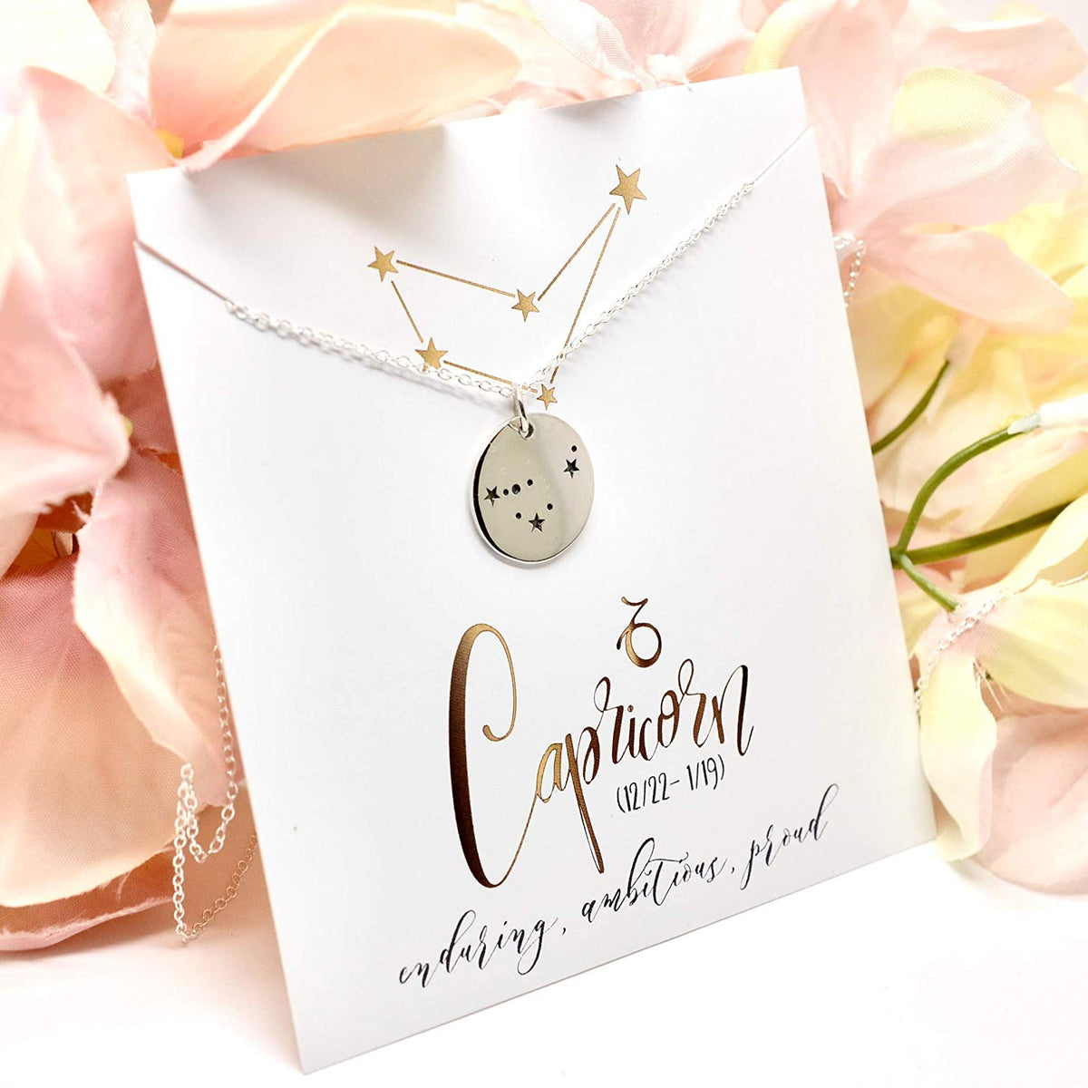 Capricorn Zodiac Sign Sterling Silver Constellation Necklace - Love It Personalized