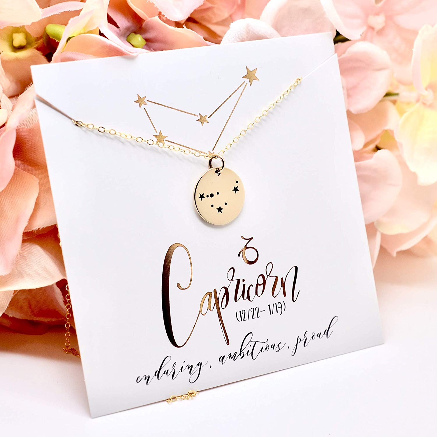 Capricorn Zodiac Sign 14K Gold Filled Constellation Necklace - Love It Personalized